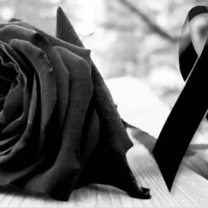 Meet your Posher, Maria fernanda